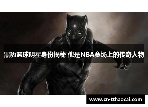 黑豹篮球明星身份揭秘 他是NBA赛场上的传奇人物